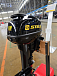 Лодочный мотор STELS 9.9HP в Домодедово
