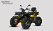 Квадроцикл PROMAX TAURUS 300 MAX-PRO LONG в Домодедово
