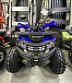 Квадроцикл PROMAX WILD 2.0 190 PRO (2025) в Домодедово